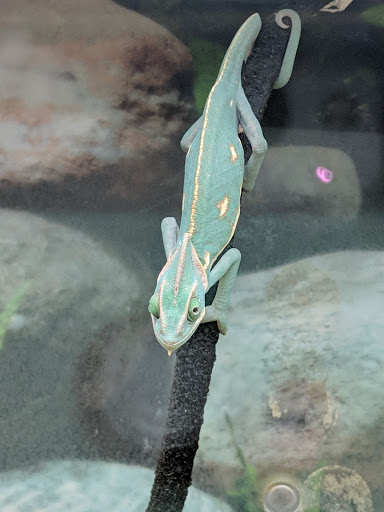 Pet Supply Store «Petco Animal Supplies», reviews and photos, 1574 N Dupont Hwy #300, Dover, DE 19901, USA