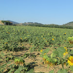 Photo n°1 de l'avis de Debora.e fait le 02/10/2019 à 08:12 sur le  Ristorante La Casa di Campagna-Agriturismo à Magione