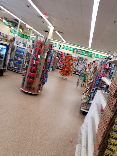 Dollar Store «Dollar Tree», reviews and photos, 250 Jericho Turnpike #80, Floral Park, NY 11001, USA