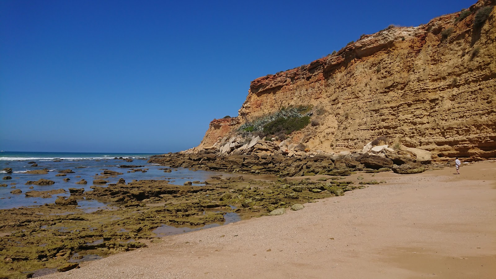 Photo de Cala del Puntalejo et le règlement
