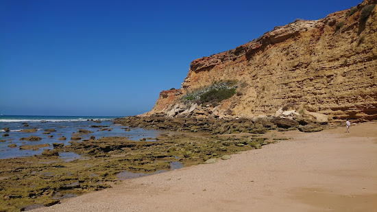 Cala del Puntalejo