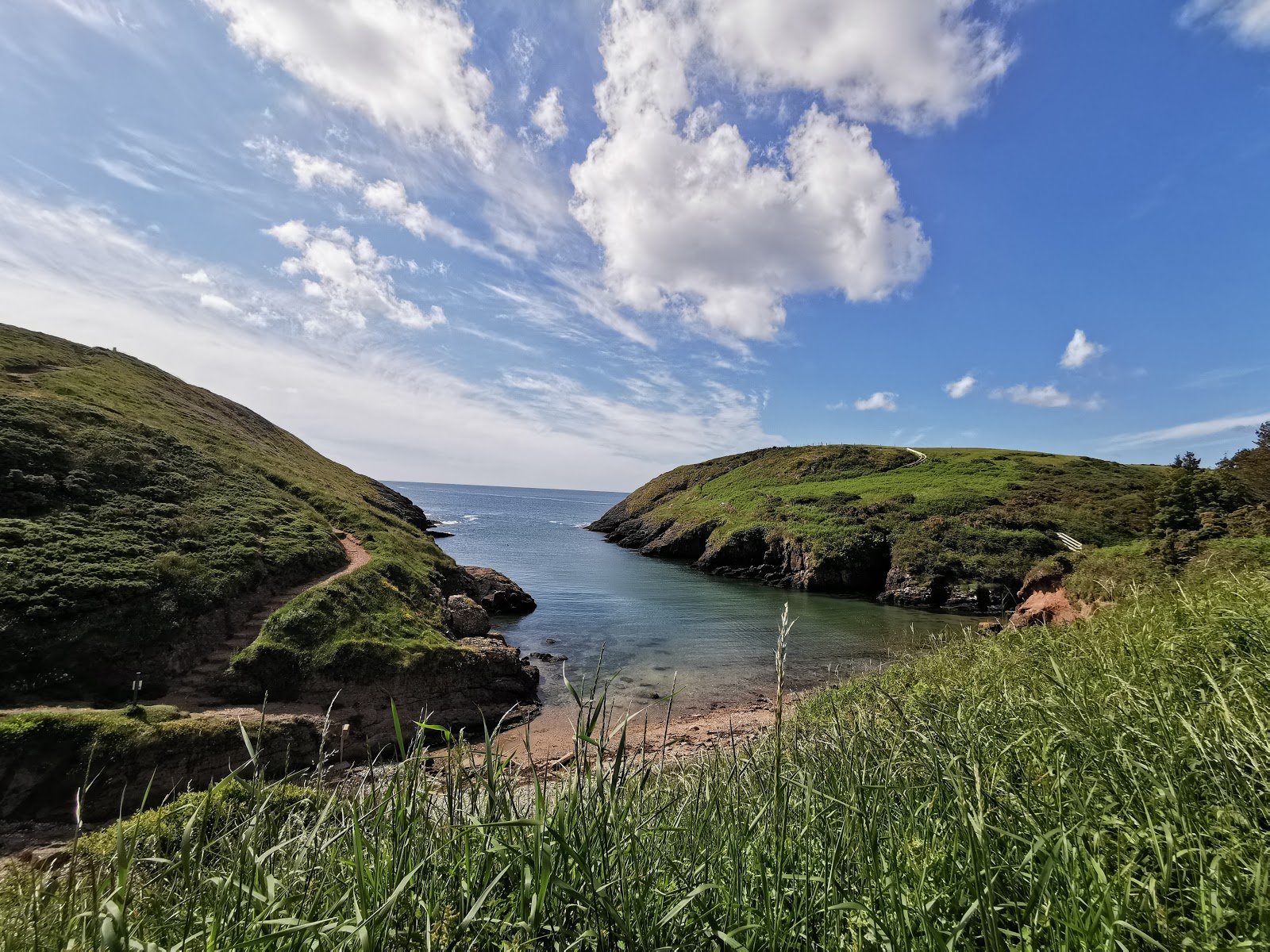 Portally Cove Beach photo #7