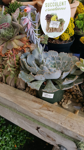 Garden Center «Chesterton Feed & Garden Center», reviews and photos, 400 Locust St, Chesterton, IN 46304, USA