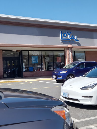 Pet Life | Supplies, Services & Knowledge, 93 Main St, Stoneham, MA 02180, USA, 