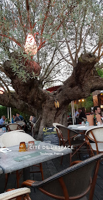 Atmosphère du Pizzeria La Villa des Oliviers à Toulouse - n°15