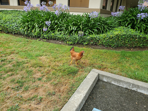 Cable Company «Charter Communications», reviews and photos, 8120 Camino Arroyo, Gilroy, CA 95020, USA