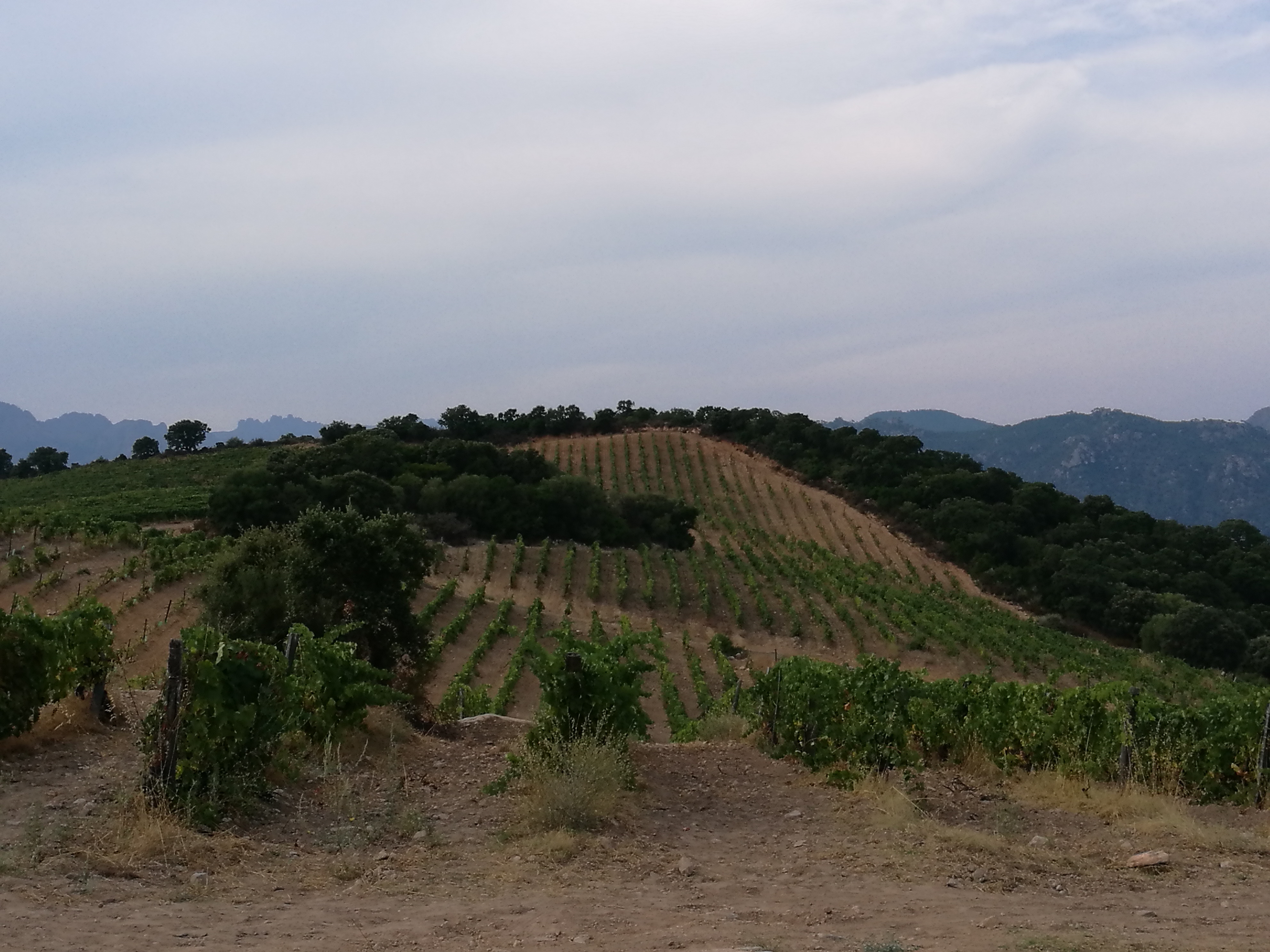 Photo n° 1 de l'avis de Daniele.a fait le 23/08/2018 à 17:01