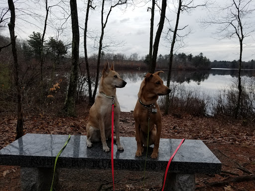 State Park «Borderland State Park», reviews and photos, 259 Massapoag Ave, North Easton, MA 02356, USA