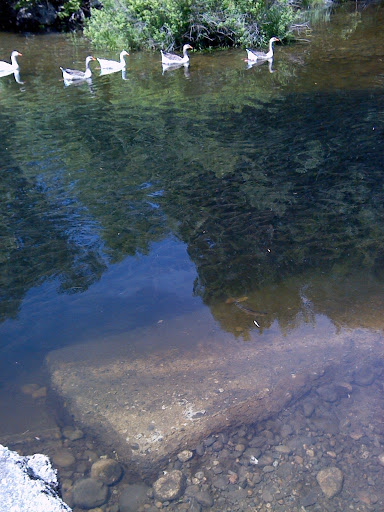 Fabric Store «Alewives Fabrics Gifts Gallery», reviews and photos, 10 Main St, Nobleboro, ME 04555, USA