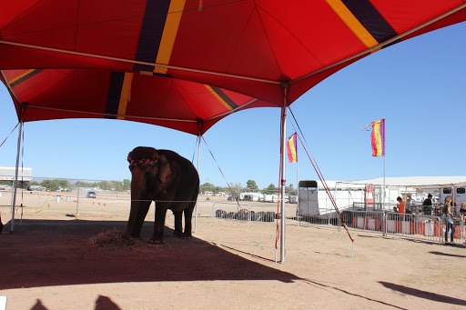 Fairground «Mohave County Fairgrounds», reviews and photos, 2600 Fairgrounds Ave, Kingman, AZ 86401, USA