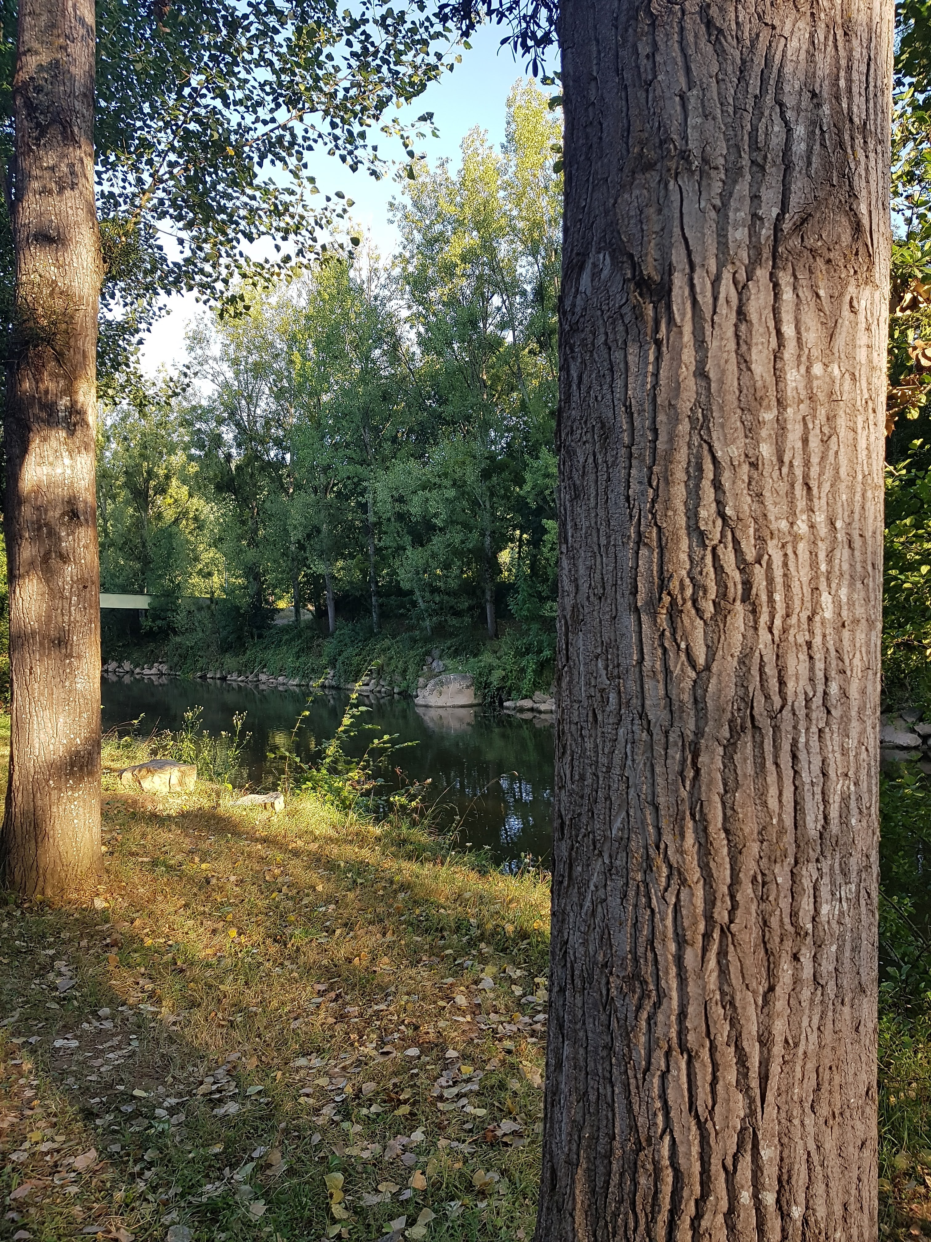 Photo n° 2 de l'avis de Naj.o fait le 10/08/2018 à 21:38