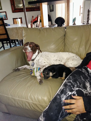 Home Goods Store «At Home», reviews and photos, 1840 Greeley Mall, Greeley, CO 80631, USA