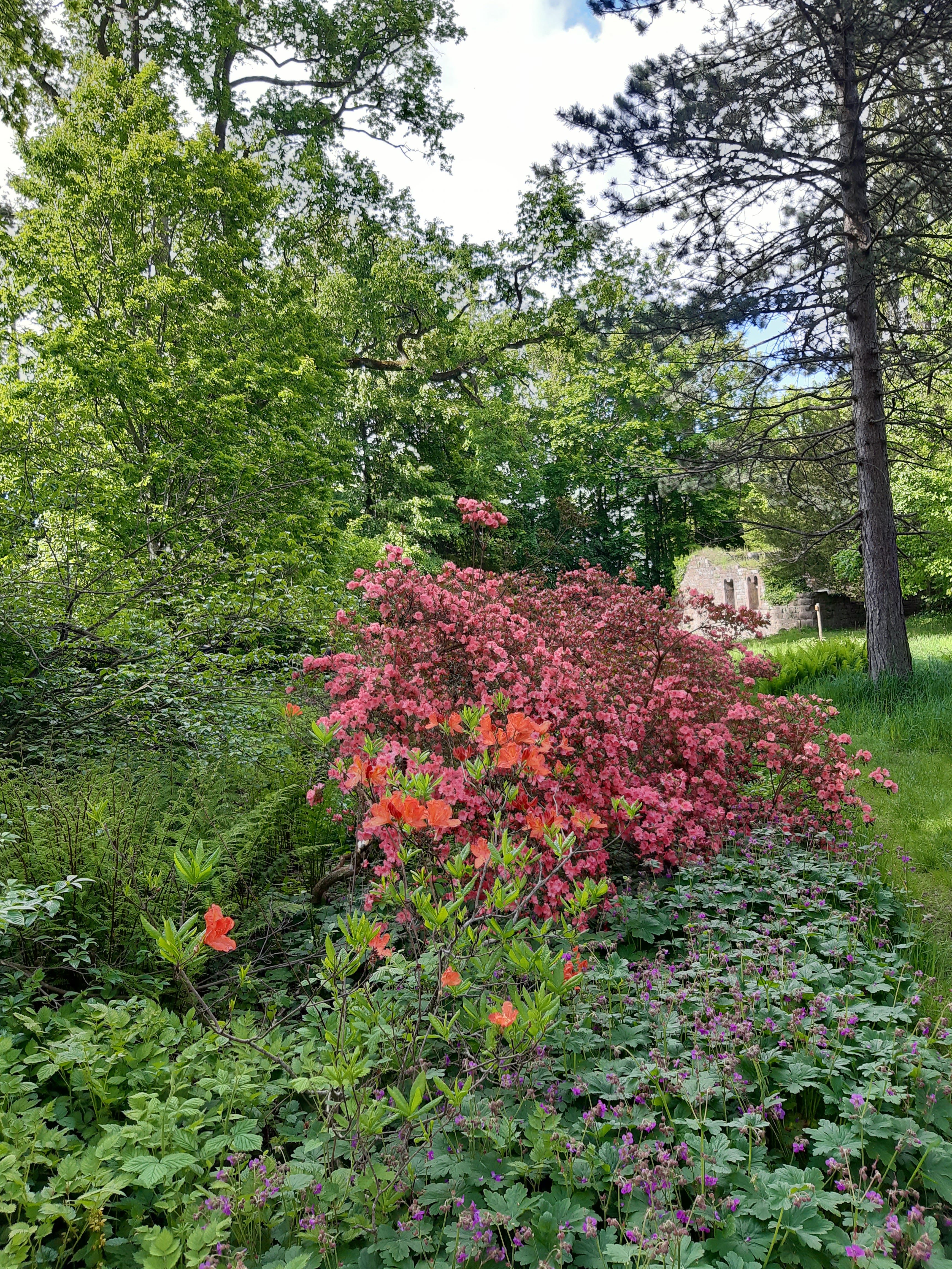 Photo n° 3 de l'avis de Ellen.a fait le 23/05/2021 à 18:28