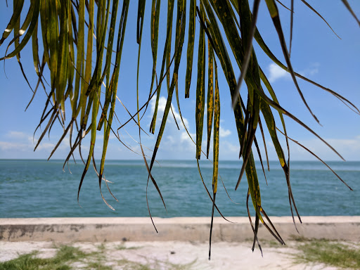 State Park «Bill Baggs Cape Florida State Park», reviews and photos, 1200 Crandon Blvd, Key Biscayne, FL 33149, USA