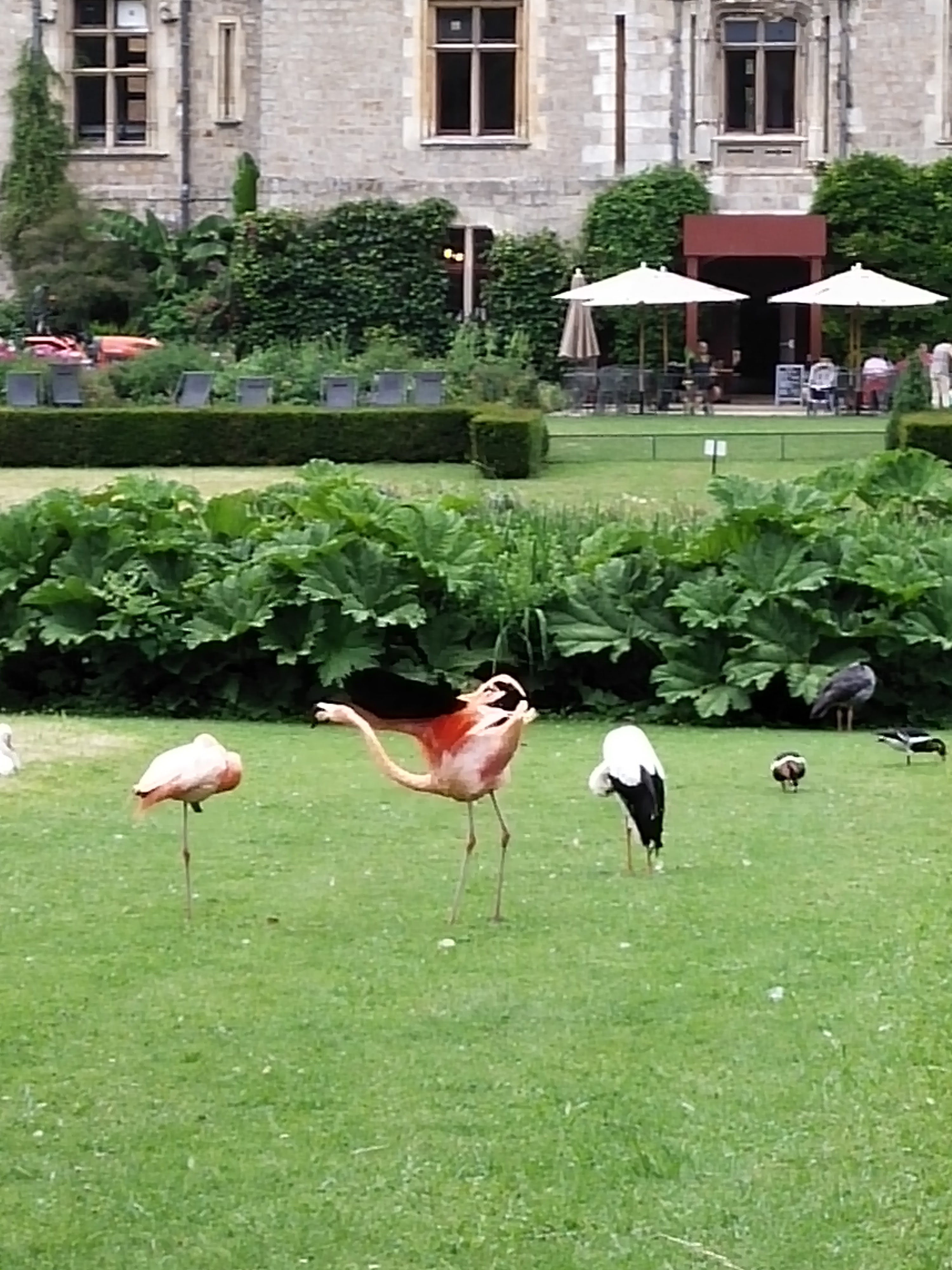 Photo n° 2 de l'avis de Amandine.a fait le 03/07/2023 à 22:00