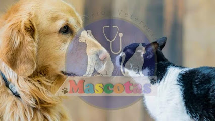 Consultorio Veterinario Mascotas