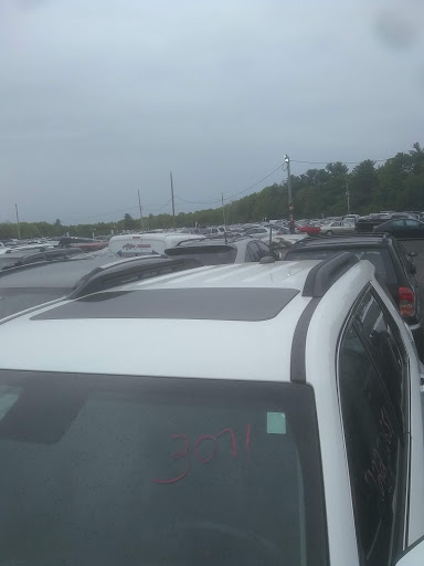 Auto Auction «Insurance Auto Auctions», reviews and photos