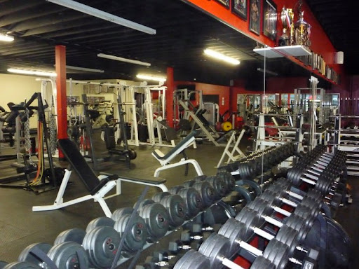 Gym «Powerhouse Gym Torrance», reviews and photos, 22715 Hawthorne Blvd, Torrance, CA 90505, USA