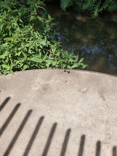 Museum «Umlauf Sculpture Garden & Museum», reviews and photos, 605 Robert E Lee Rd, Austin, TX 78704, USA