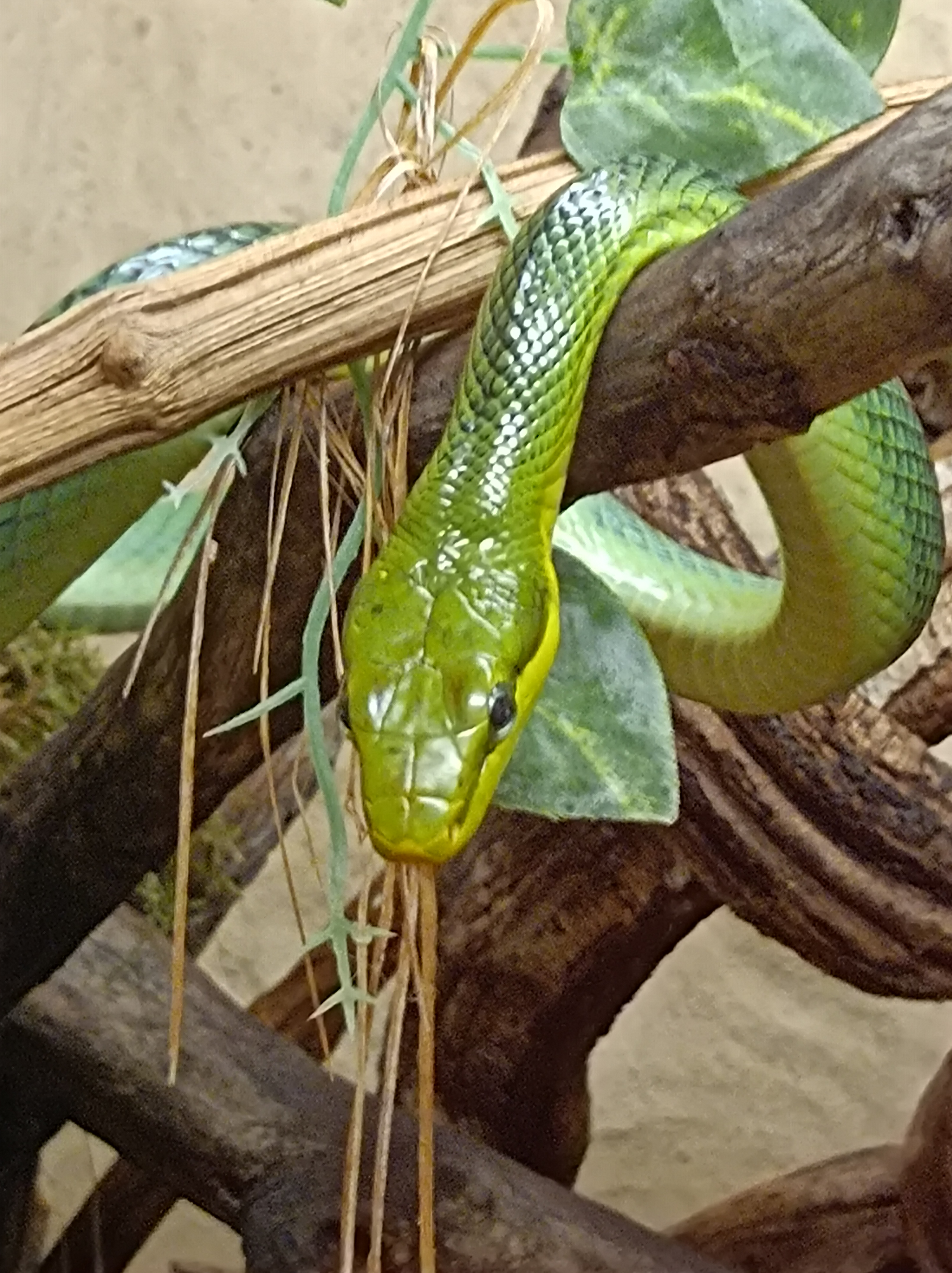 Photo n° 2 de l'avis de Anne.a fait le 02/11/2023 à 17:28