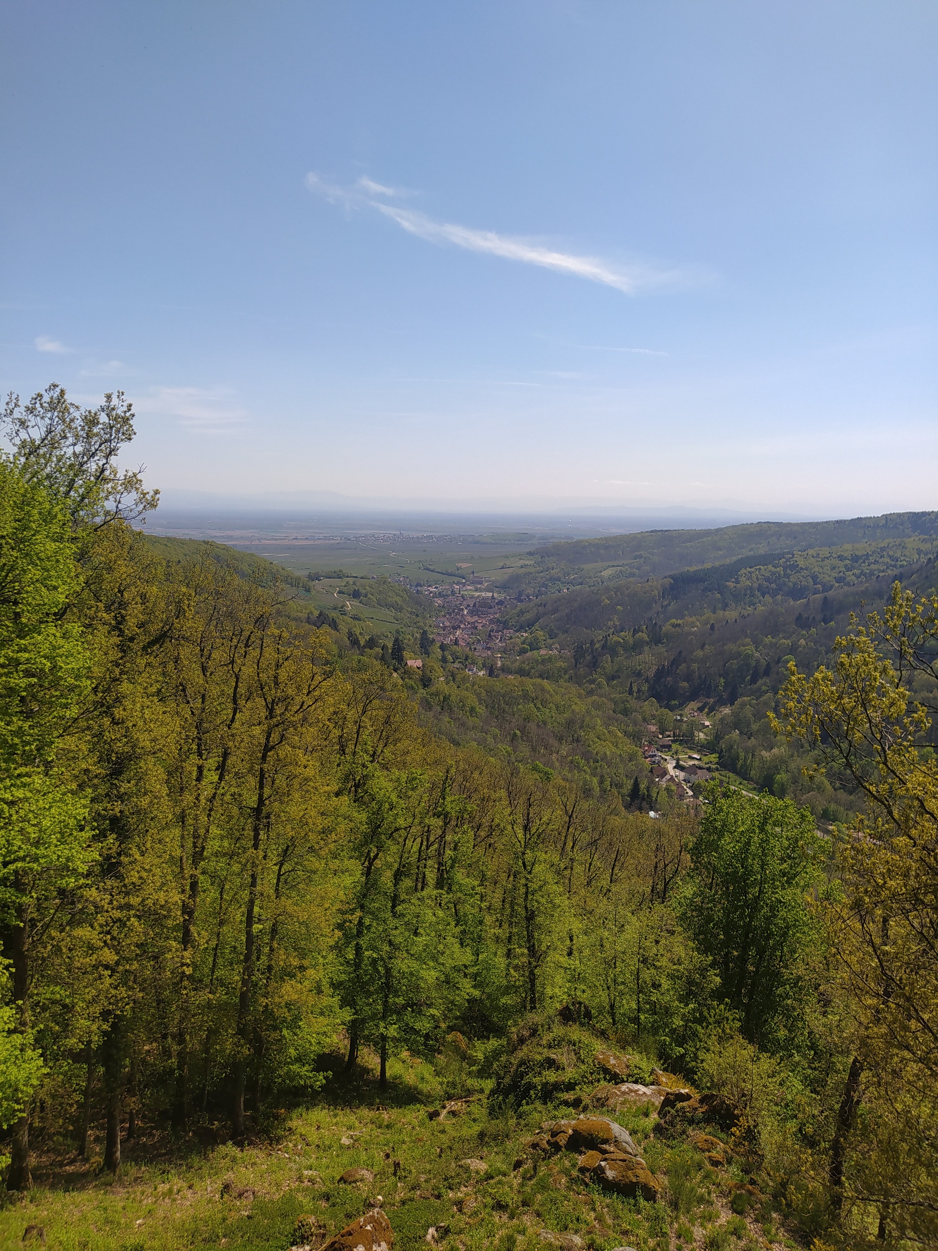 Photo n° 3 de l'avis de Mireille.a fait le 22/04/2022 à 17:58