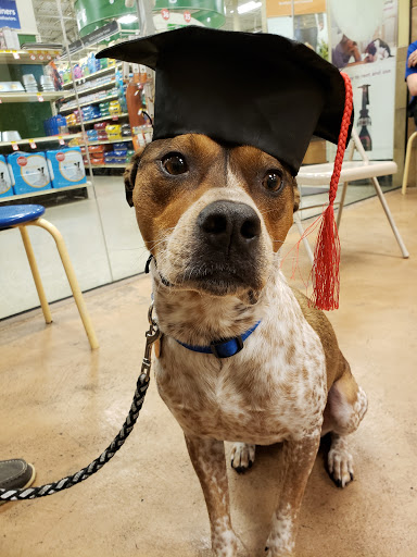 Pet Supply Store «PetSmart», reviews and photos, 3500 S Glenstone Ave, Springfield, MO 65804, USA