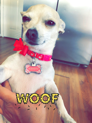 Pet Store «Village Pet Shop», reviews and photos, 701 N Black Horse Pike, Williamstown, NJ 08094, USA