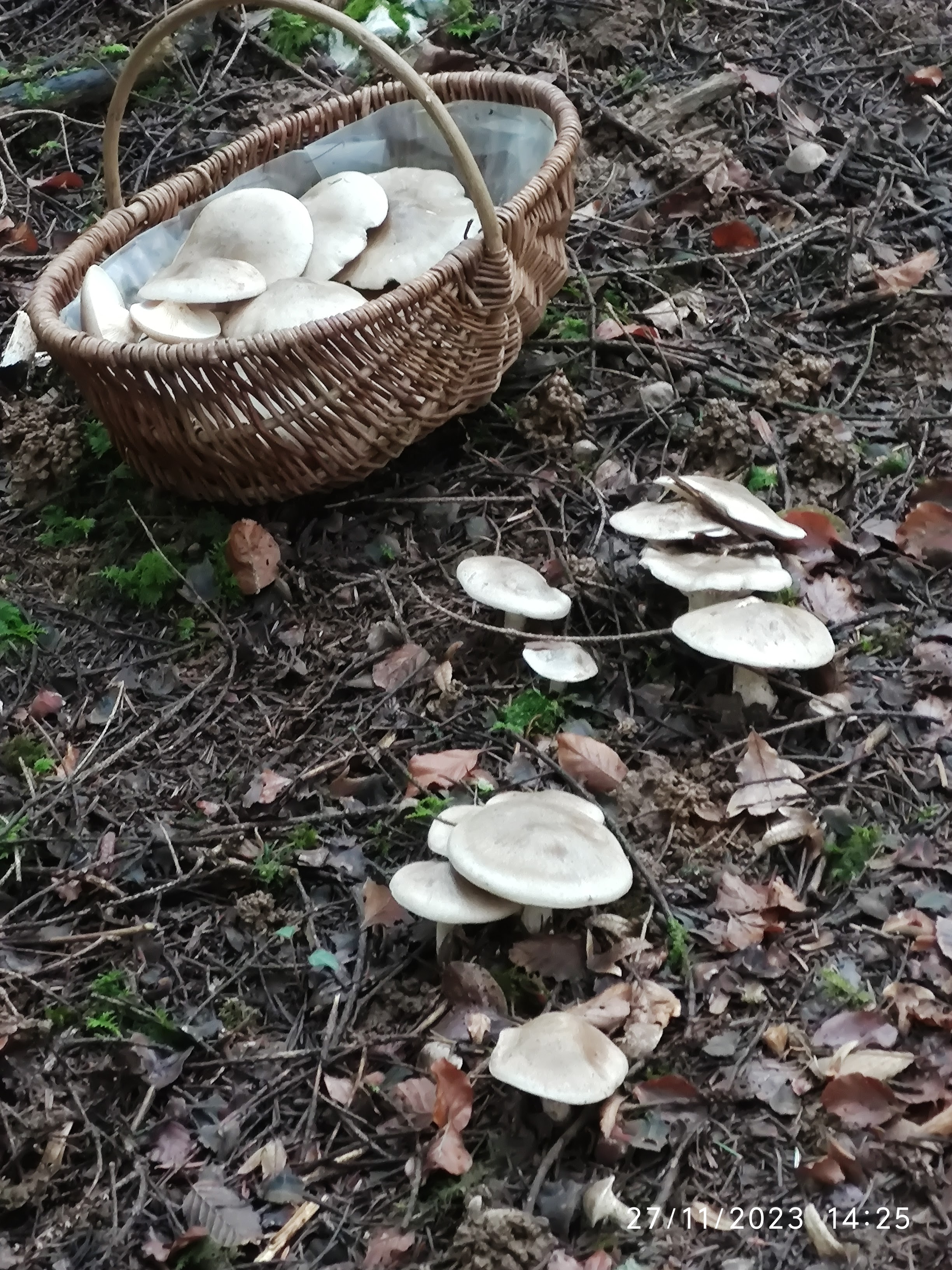 Photo n° 7 de l'avis de Patrick.i fait le 12/12/2023 à 10:07