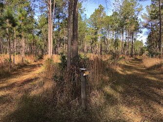 Prairie Creek Preserve