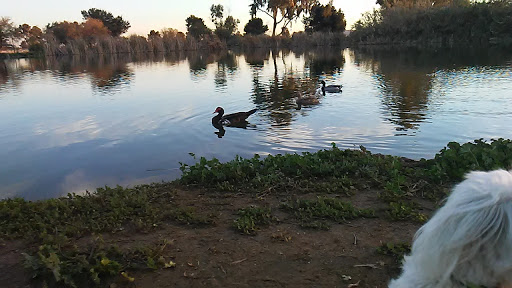 Golf Course «Paradise Valley Golf Course», reviews and photos, 3505 E Union Hills Dr, Phoenix, AZ 85050, USA