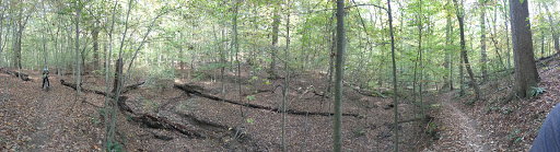 Nature Preserve «White Clay Creek State Park Nature Center», reviews and photos, 1475 Creek Rd, Newark, DE 19711, USA