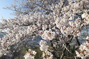 Matsuo Joshi Park image