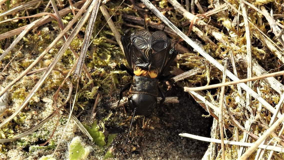 Photo n° 3 de l'avis de yangege. fait le 10/05/2019 à 05:48