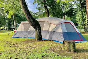 Torinome River Park Auto Campsite image