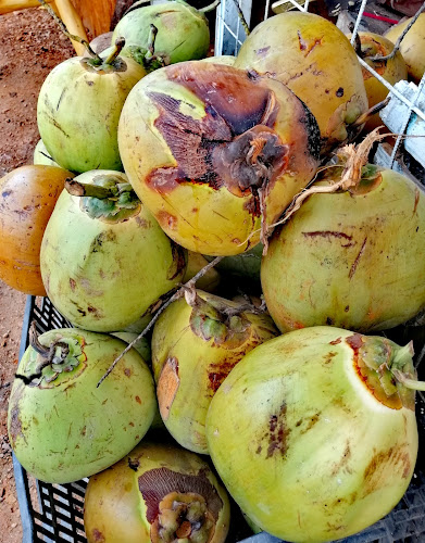 Frutas del campo - Pedro Vicente Maldonado