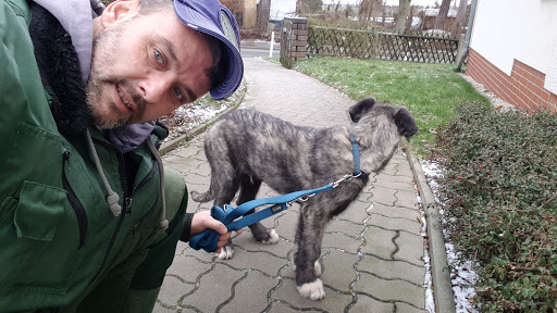 Kleintierklinik Dr. Meisinger unter Crimmitschau, 
