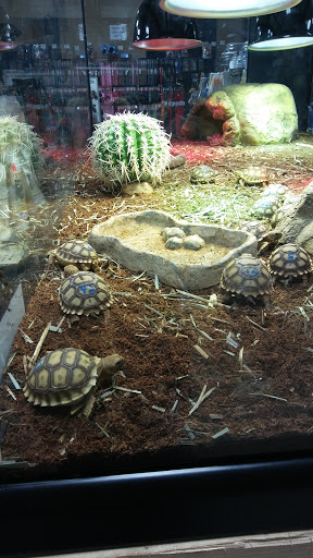 Pet Store «Pet Land», reviews and photos, 1450 Fort Campbell Blvd, Clarksville, TN 37042, USA