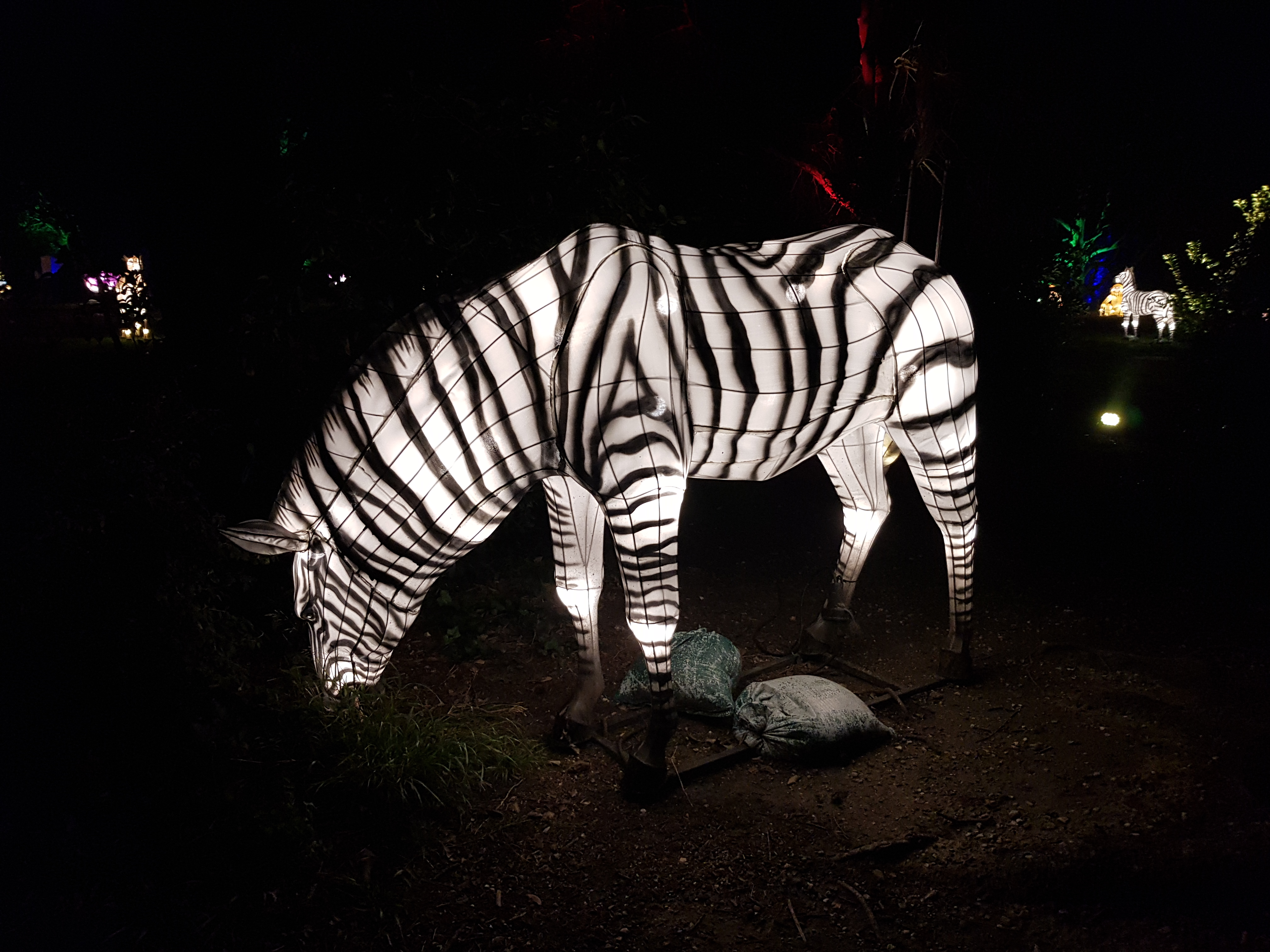 Photo n° 16 de l'avis de AlexBebop. fait le 30/12/2019 à 10:04