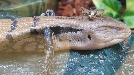 Pet Supply Store «Petco Animal Supplies», reviews and photos, 8551 S Howell Ave, Oak Creek, WI 53154, USA