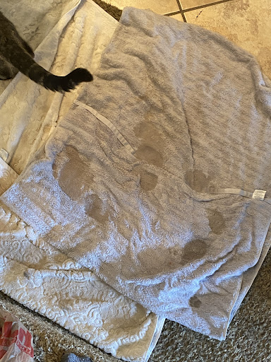 Carpet Cleaning Service «Specialty Cleaning Services», reviews and photos, 3432 W Sunset Rd, Tucson, AZ 85705, USA