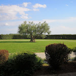 Photo n°1 de l'avis de Valerio.i fait le 14/07/2019 à 19:05 sur le  Hotel le Capanne à Arezzo