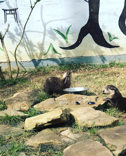 Tourist Attraction «Barn Hill Preserve», reviews and photos, 11370 LA-955, Ethel, LA 70730, USA