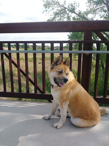 Park «Carpenter Park», reviews and photos, 3498 E 112th Ave, Thornton, CO 80233, USA