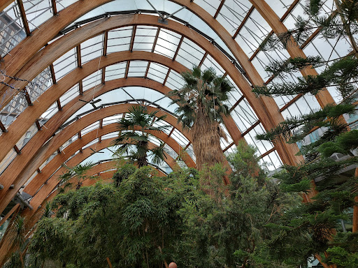 Winter Garden