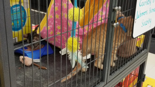 Pet Supply Store «Pet Supplies Plus», reviews and photos, 4024 Bethlehem Pike, Telford, PA 18969, USA