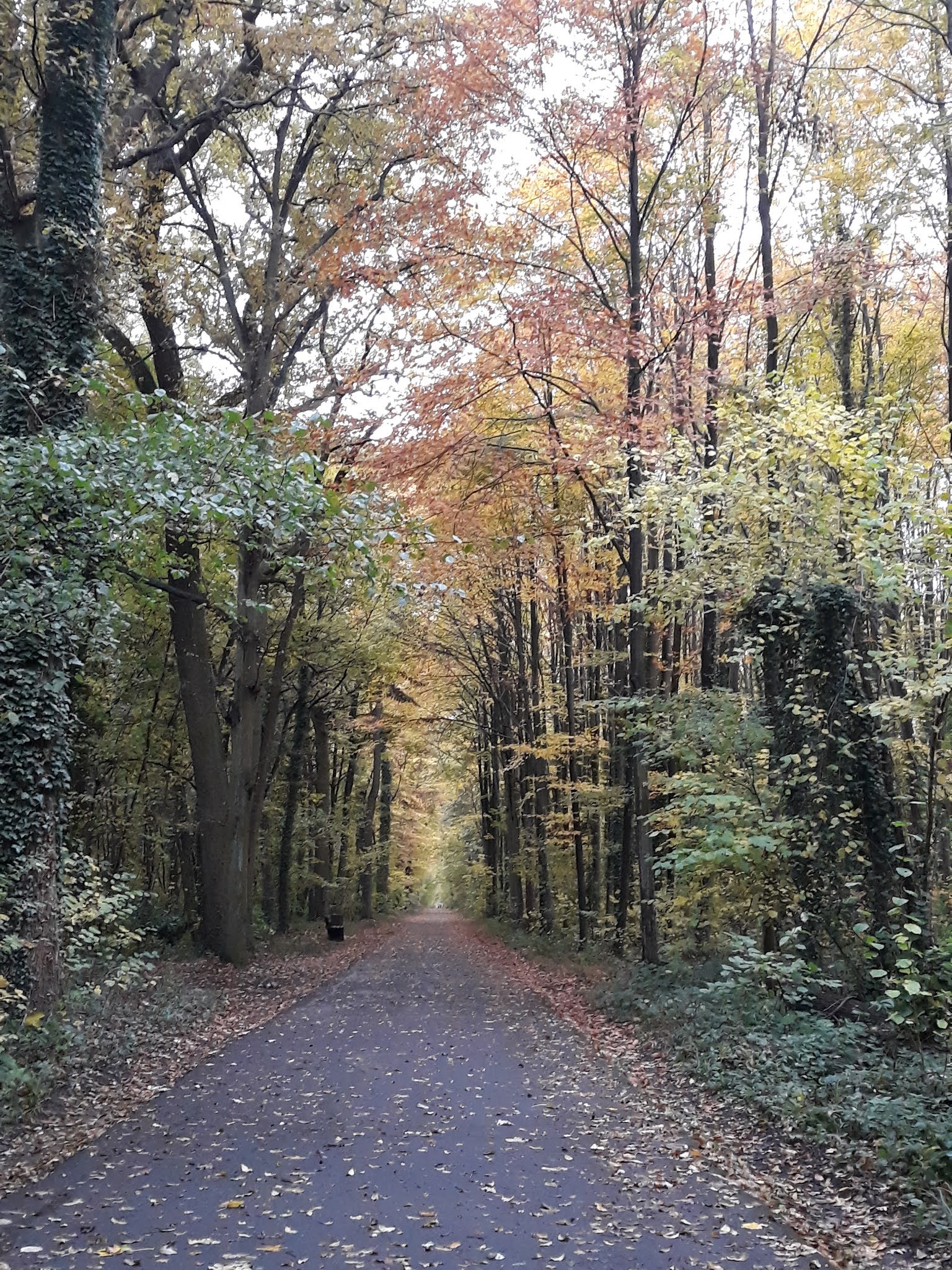 Photo n° 12 de l'avis de Hélène. fait le 04/01/2019 à 21:34