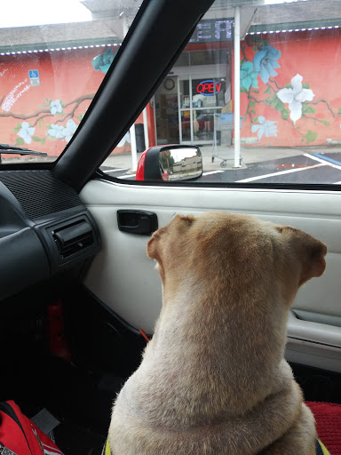 Asian Grocery Store «Brandon Oriental Market», reviews and photos, 112 Pauls Dr, Brandon, FL 33511, USA