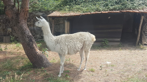 Quinta Pedagógica Quinta das Manas