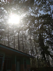 Foto SD  Negeri Padang 01, Kab. Lumajang