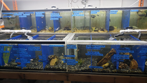 Tropical Fish Store «The Fish Store», reviews and photos, 2050 Chamblee Tucker Rd, Chamblee, GA 30341, USA